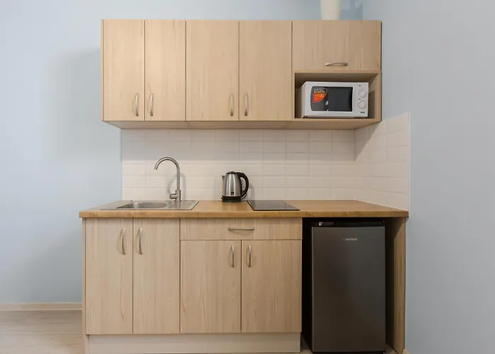 Appartement Elegant I елегантний Lviv